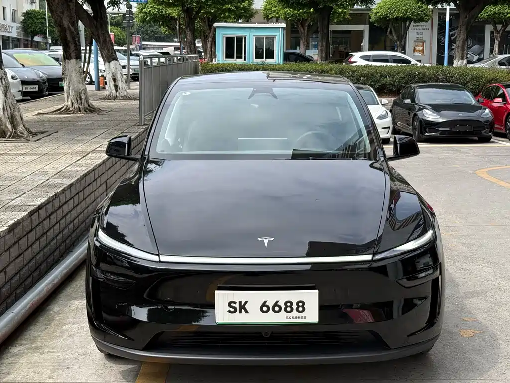 Tesla Model Y — миниатюра 2