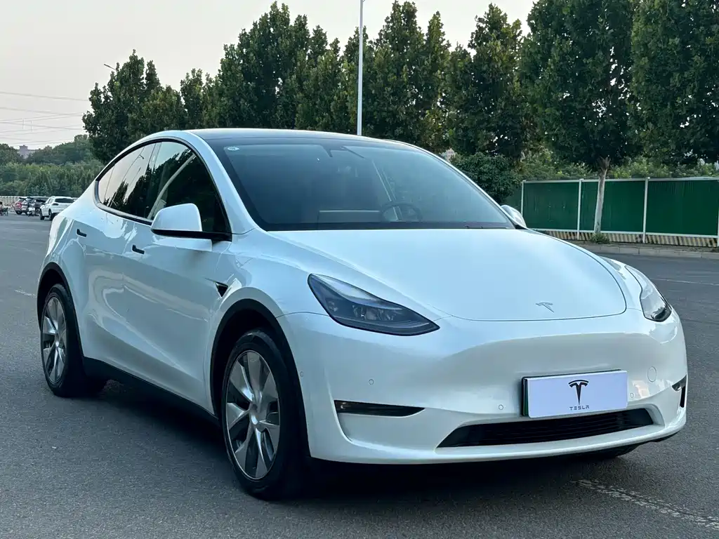 Tesla Model Y — миниатюра 3