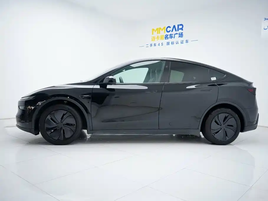 Tesla Model Y — миниатюра 11