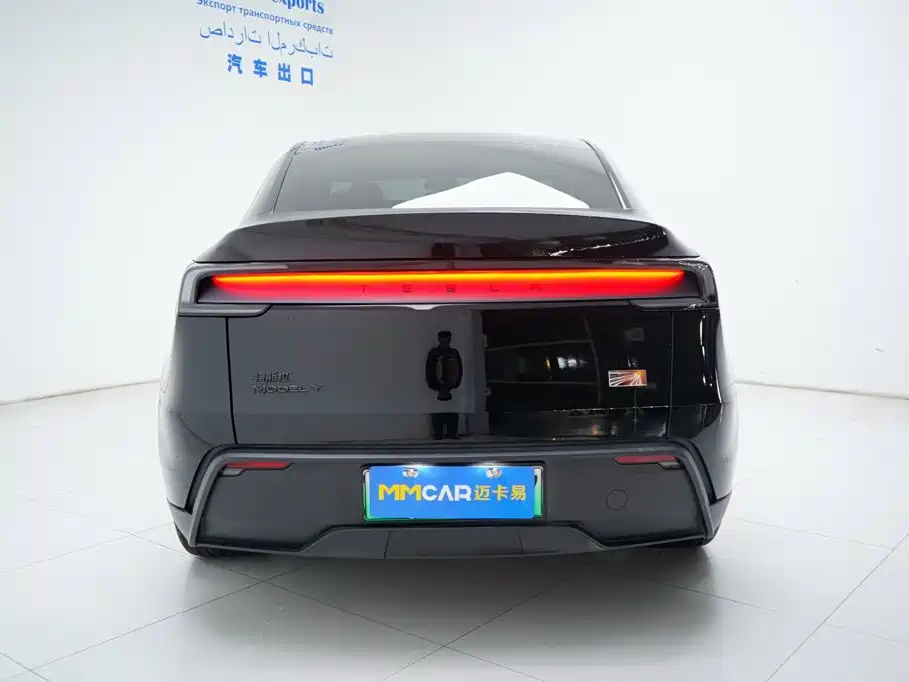 Tesla Model Y — миниатюра 12
