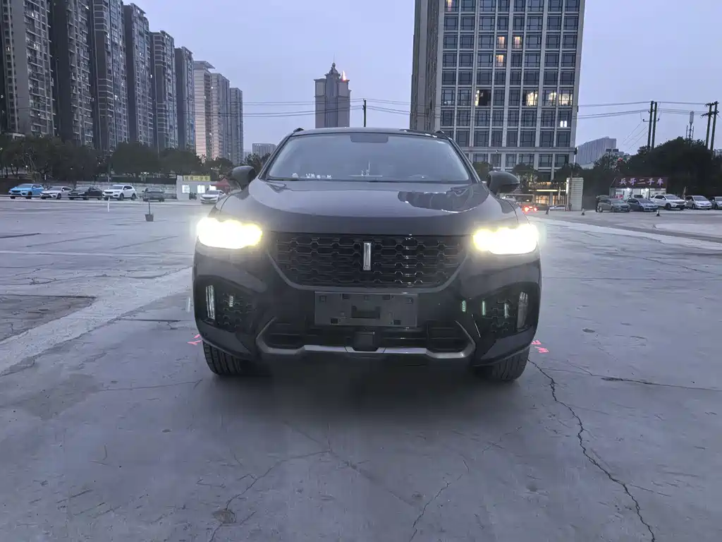 WEI PAI WEI BRAND VV5