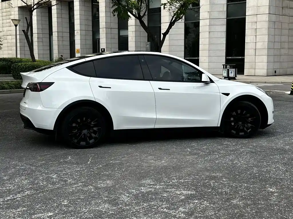 Tesla Model Y — миниатюра 11