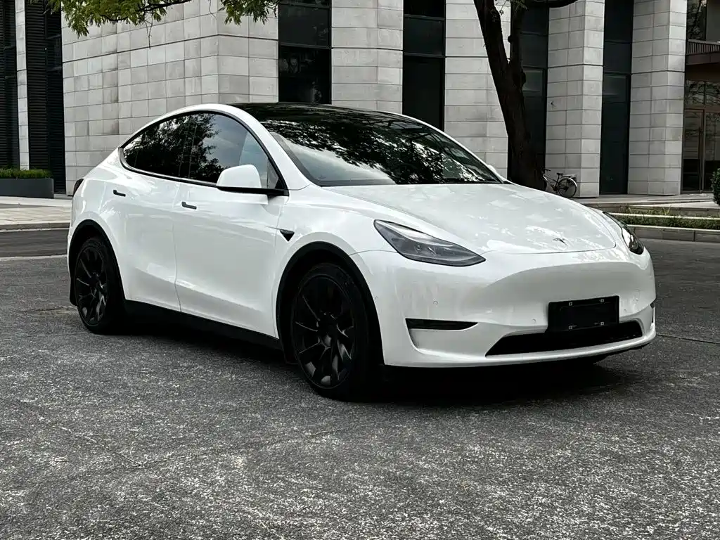 Tesla Model Y — миниатюра 3
