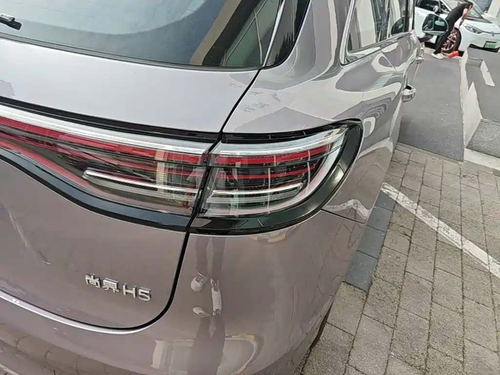 Shangjie Shangjie H5 — миниатюра 8