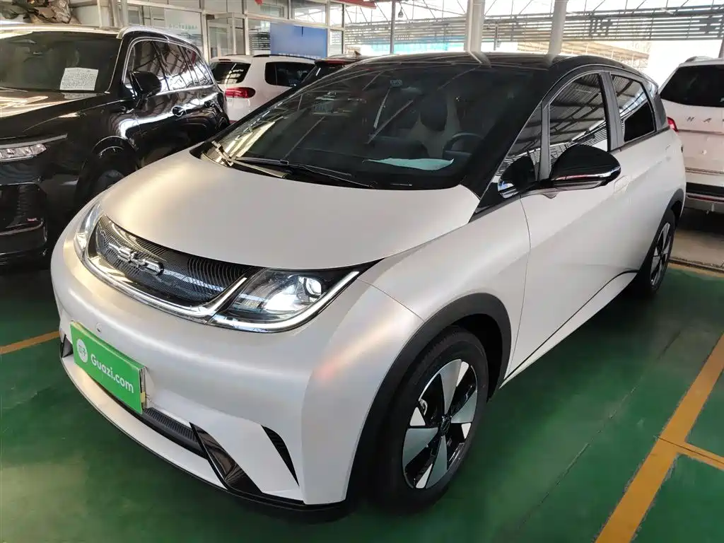 Byd Dolphin 2024