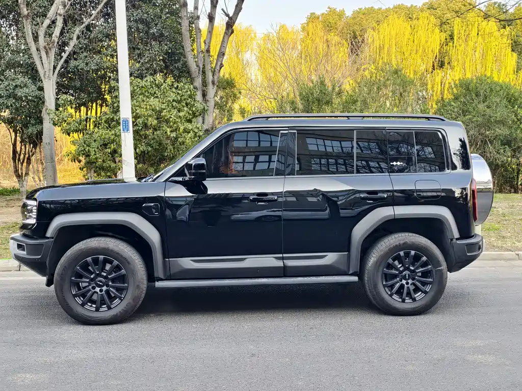 FANG CHENG BAO LEOPARD 5