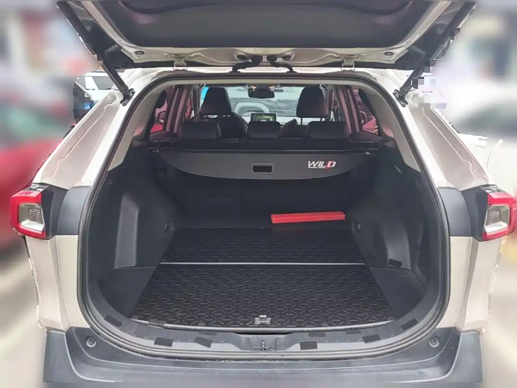 Toyota Wildlander — миниатюра 24