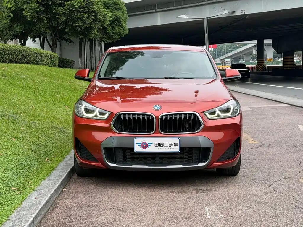 BMW X2 — миниатюра 2
