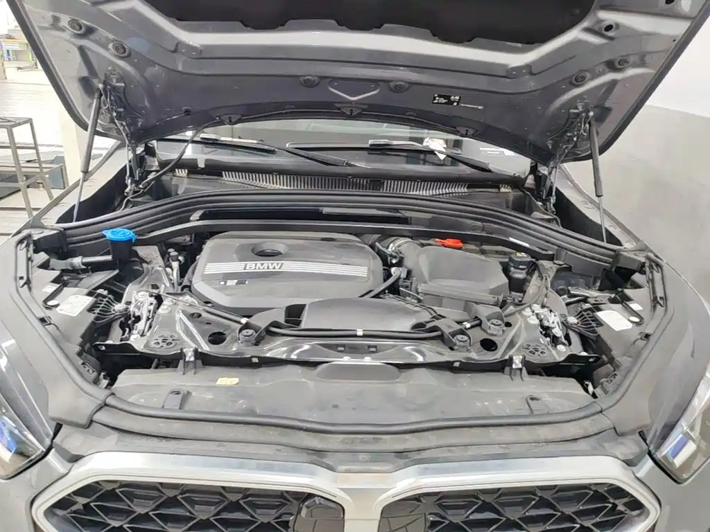 BMW X2 (Import) — миниатюра 25