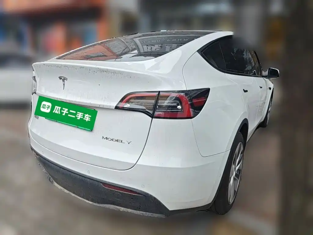 Tesla Model Y — миниатюра 4