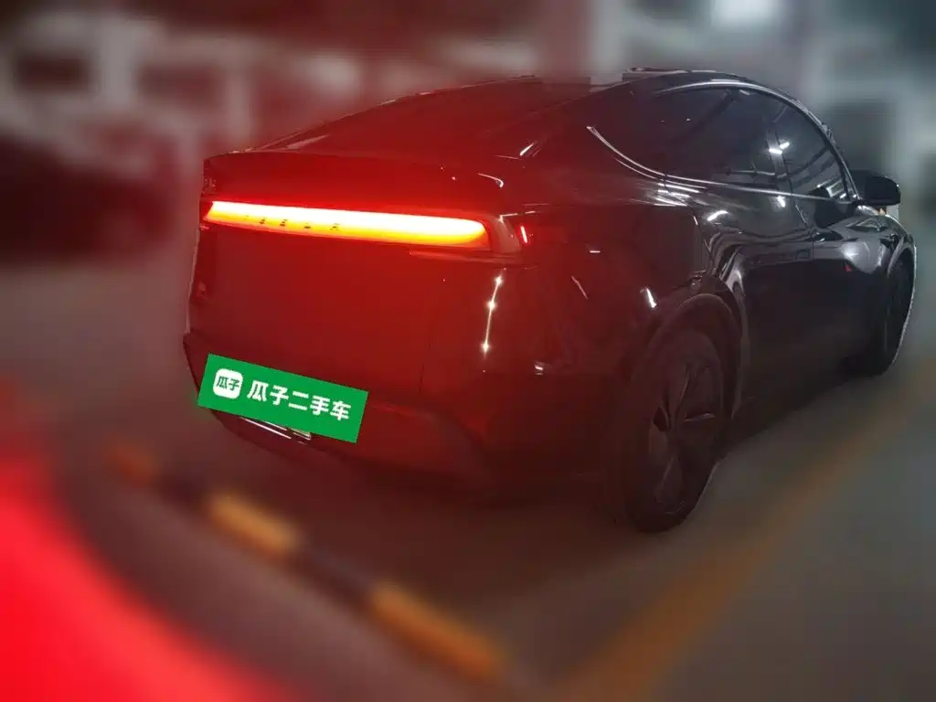 Tesla Model Y — миниатюра 4