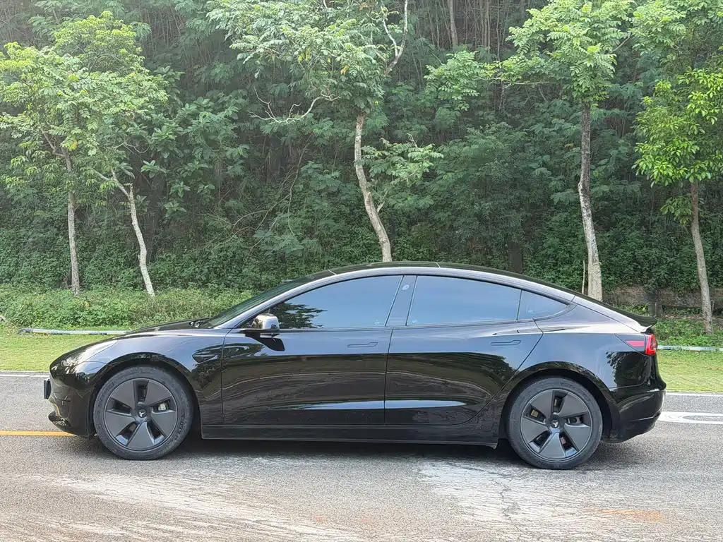 Tesla Model 3 — миниатюра 4