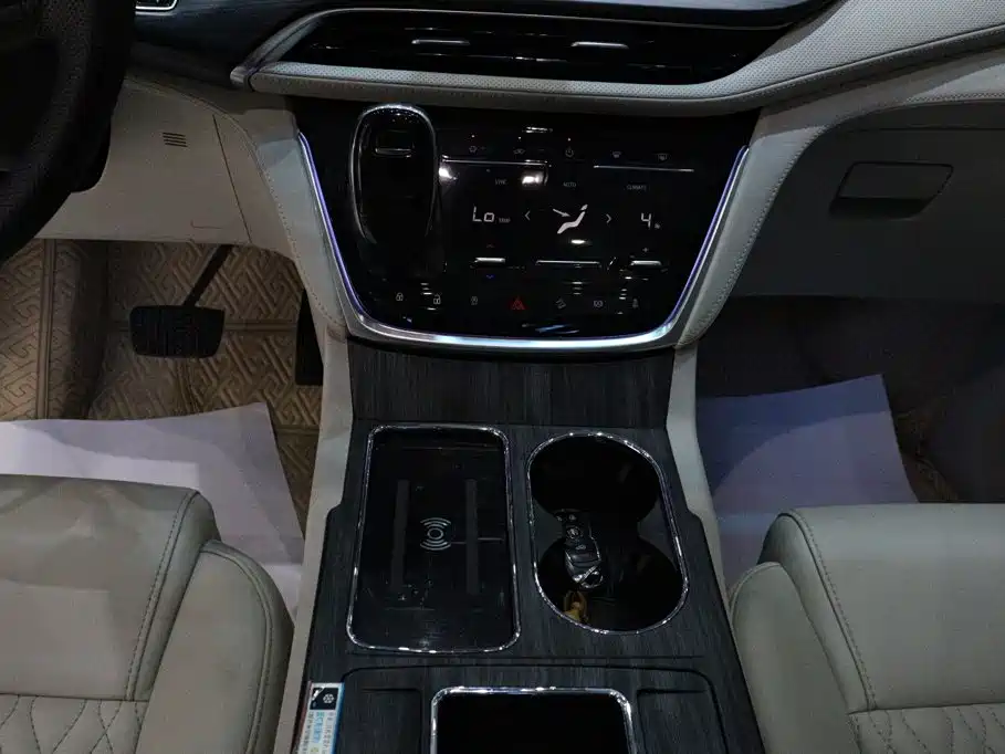 Buick GL8 — миниатюра 15