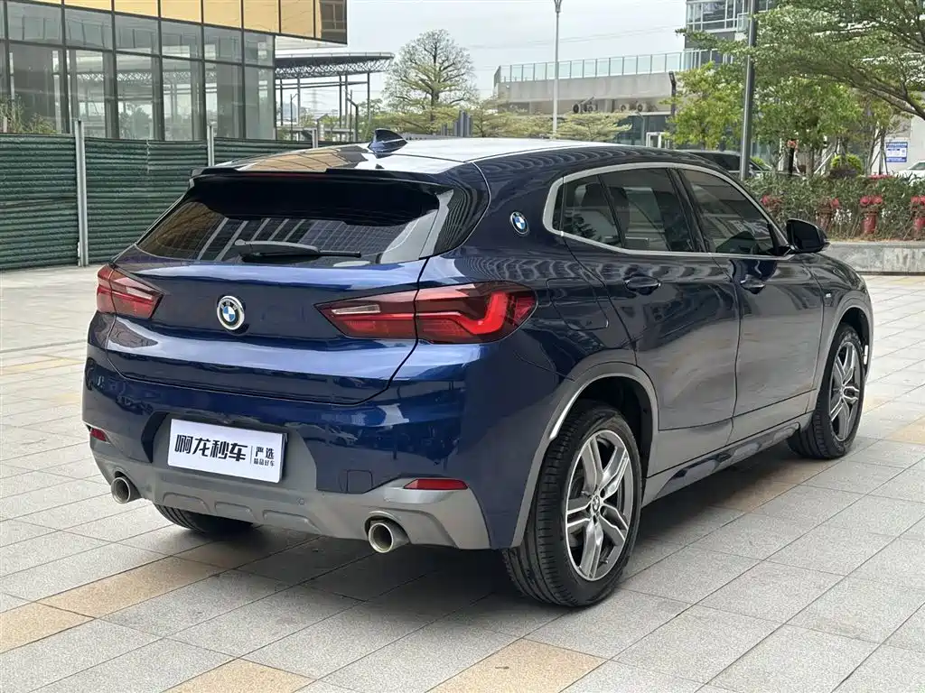 BMW X2 2020 sDrive25i Lead M