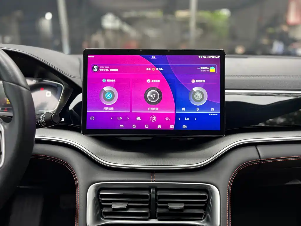 BYD PLUS — миниатюра 12