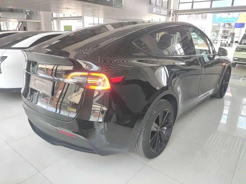 Tesla Model Y — миниатюра 7