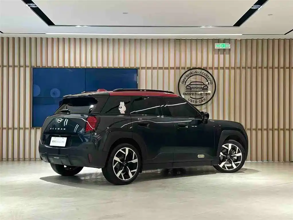Mini Aceman 2024 E