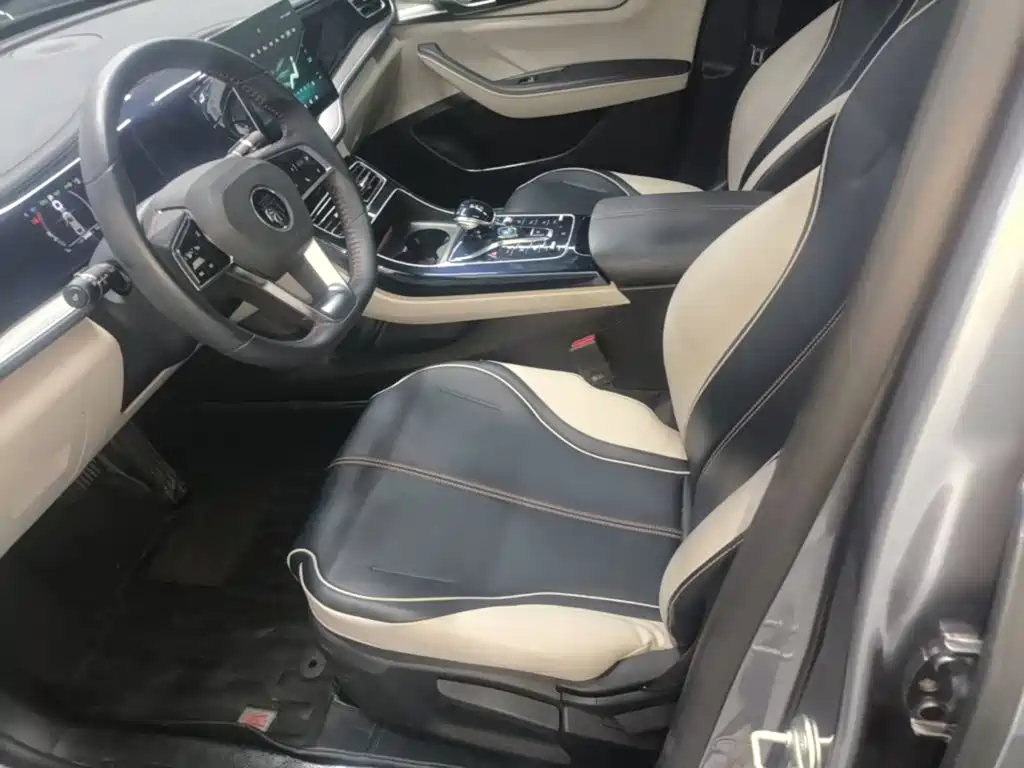 BYD Qin PLUS — миниатюра 15