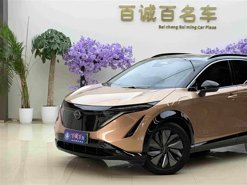 Nissan Ariya — миниатюра 2