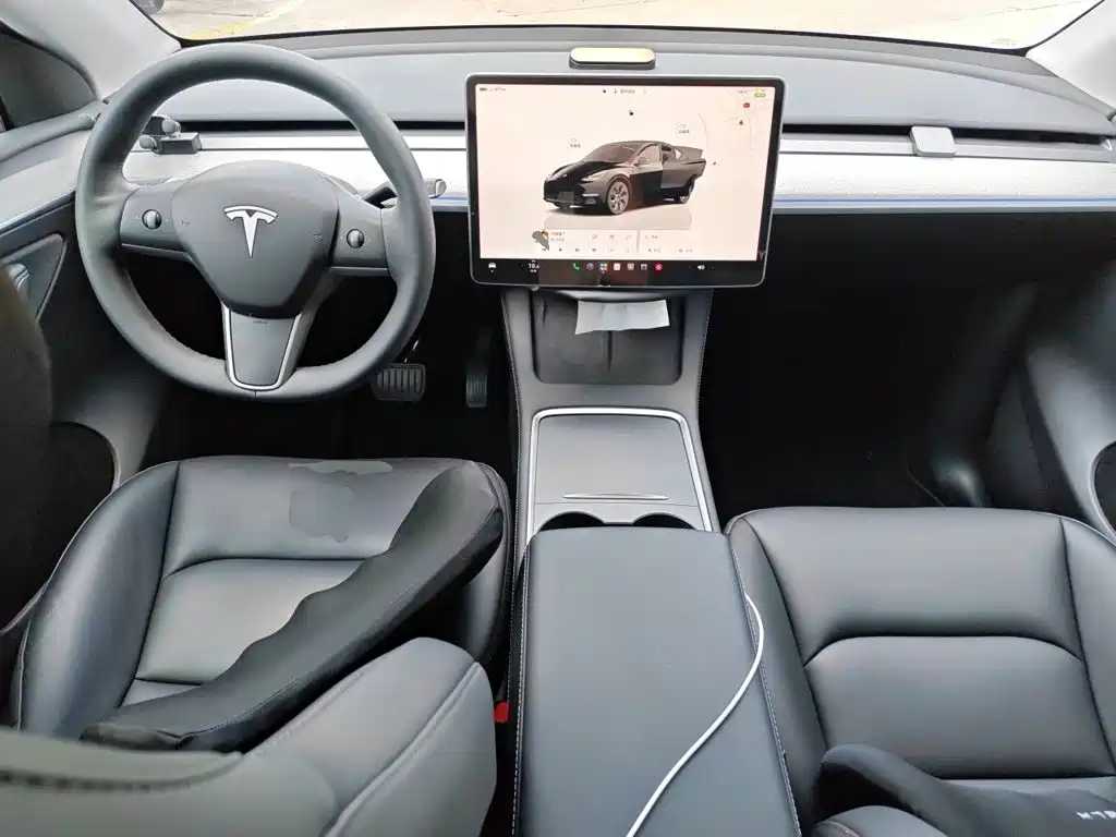 Tesla Model Y — миниатюра 10