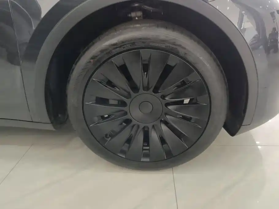 Tesla Model Y — миниатюра 6