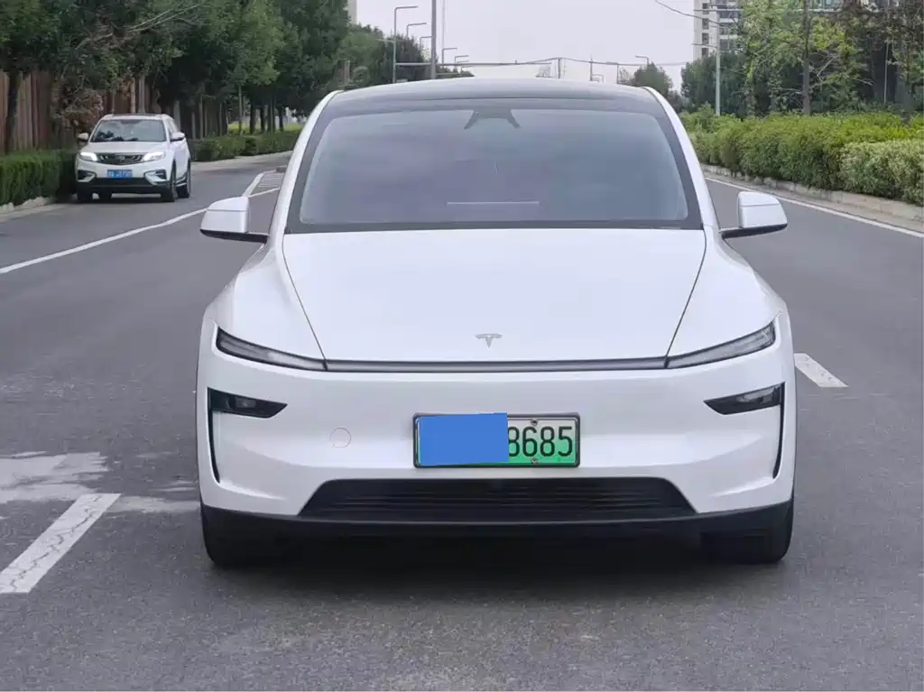 Tesla Model Y — миниатюра 2