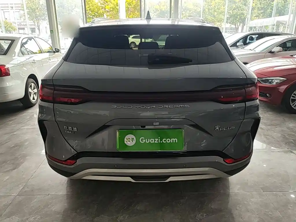 BYD PLUS New Energy — миниатюра 6