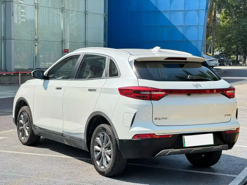 Weltmeister WEIMA EX5