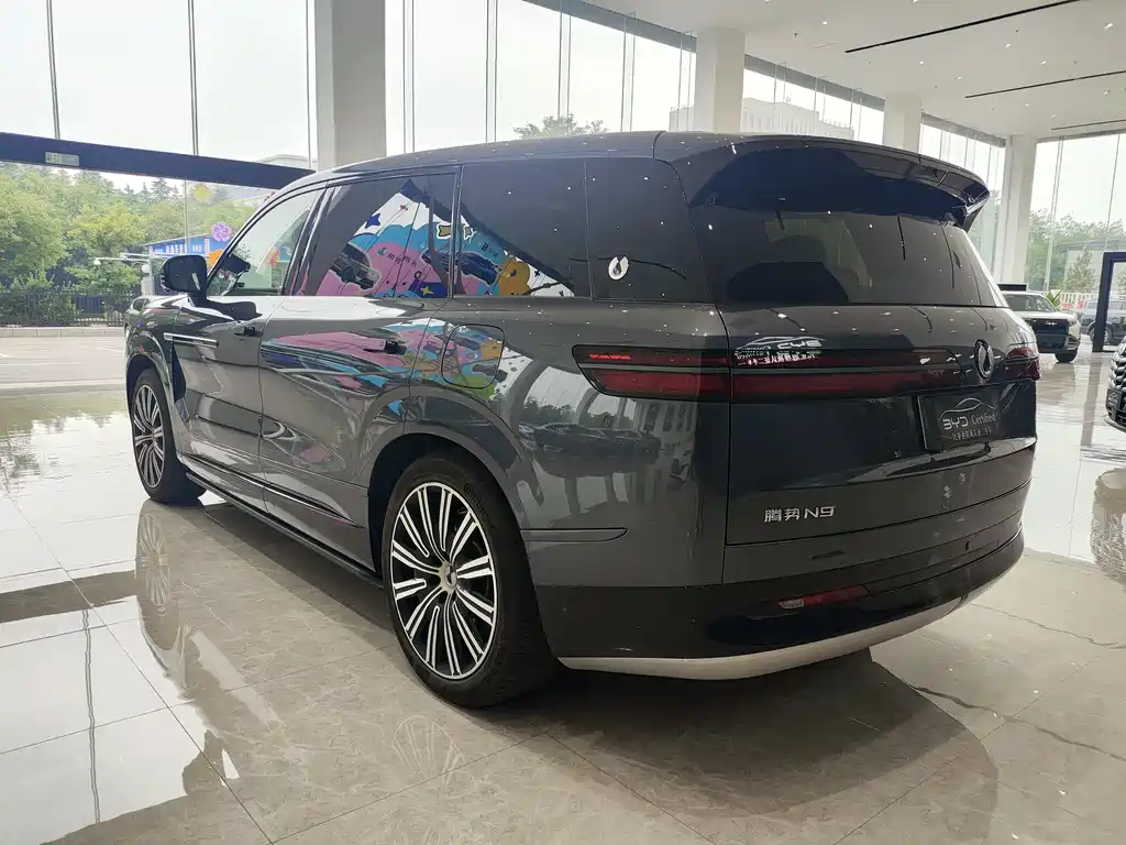 Denza N9 2025 Flagship