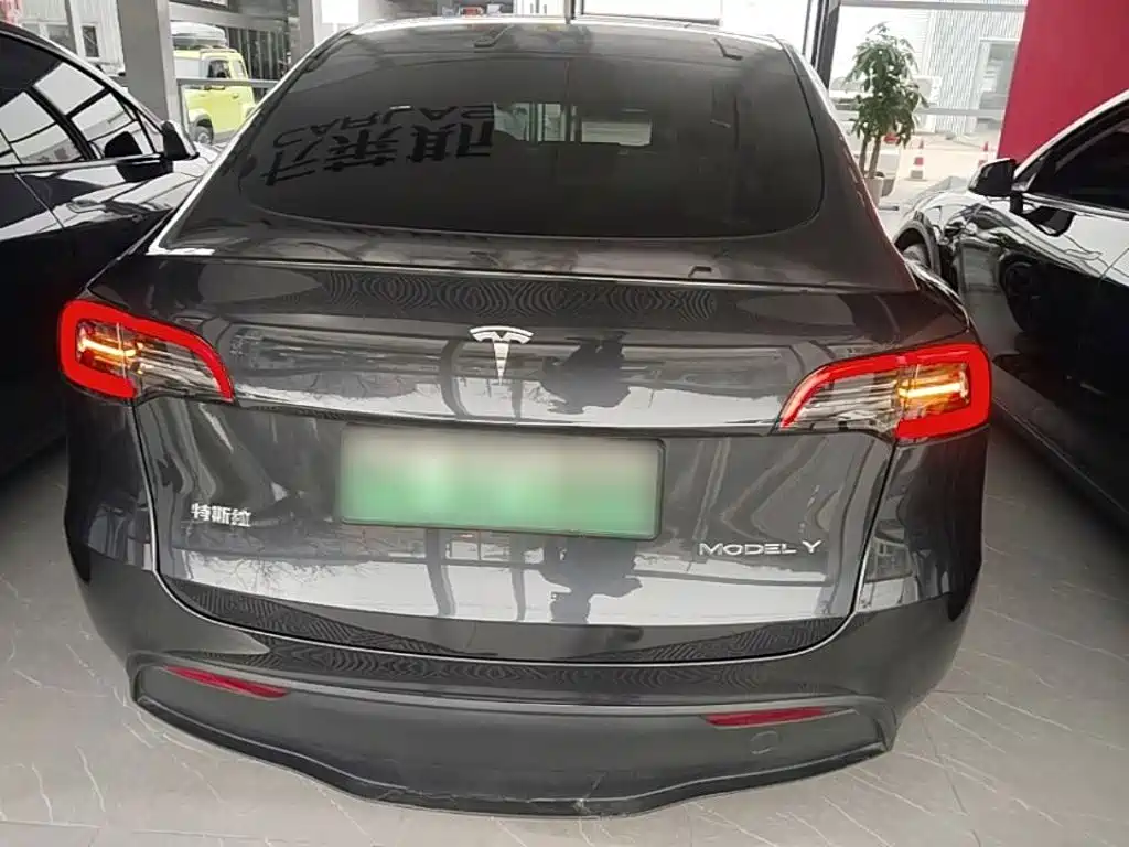 Tesla Model Y — миниатюра 6