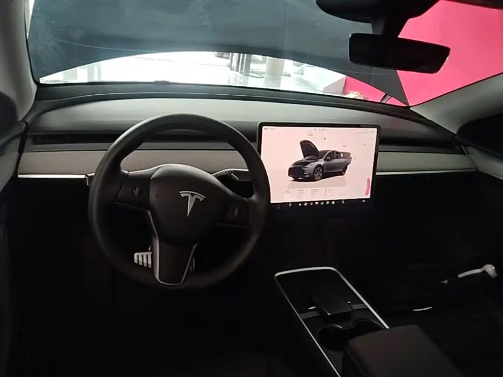 Tesla Model Y — миниатюра 10