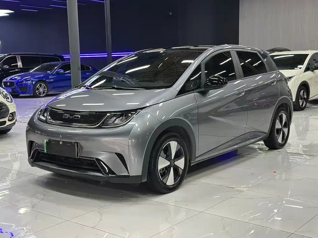 BYD Dolphin — миниатюра 2