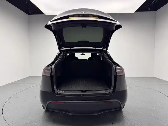 Tesla Model Y — миниатюра 11