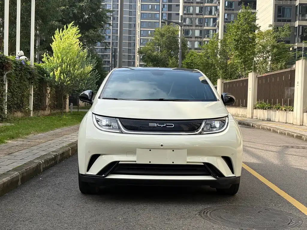 BYD Dolphin — миниатюра 2