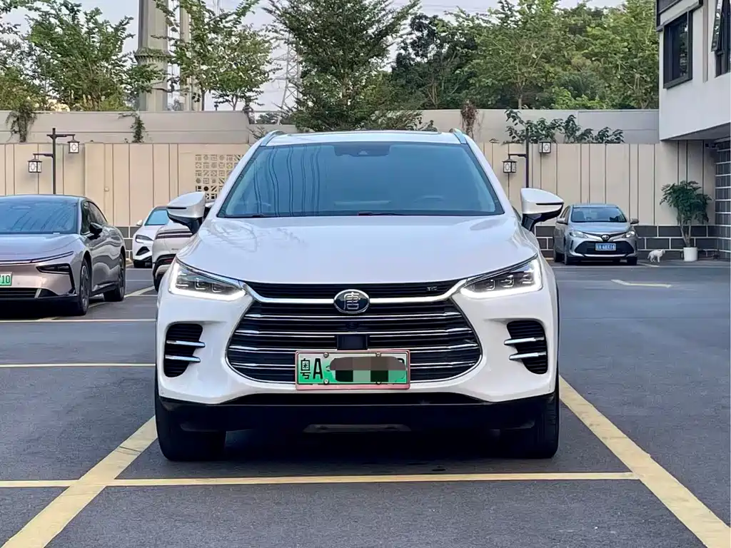 BYD Tang New Energy — миниатюра 2