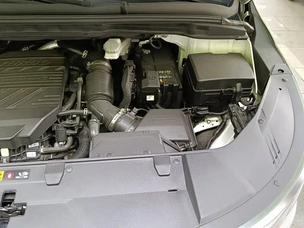 Kia Carnival — миниатюра 20