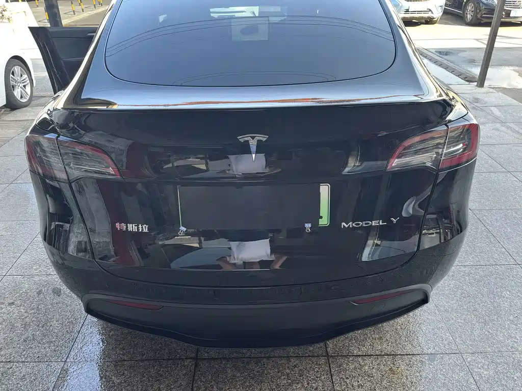 Tesla Model Y — миниатюра 15