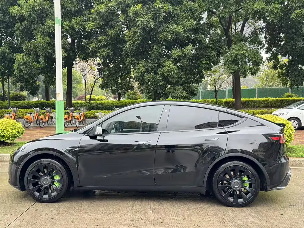 Tesla Model Y - фото 8