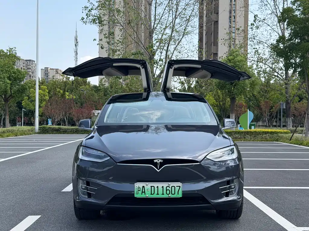 Tesla Model X — миниатюра 2