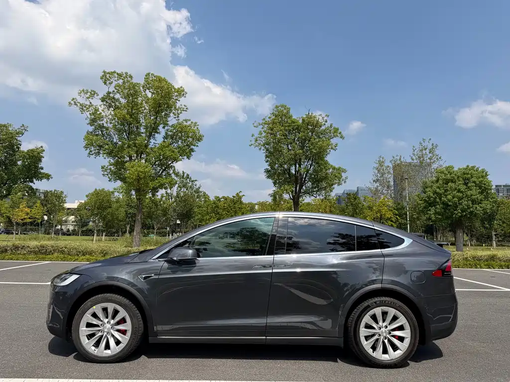 Tesla Model X — миниатюра 14