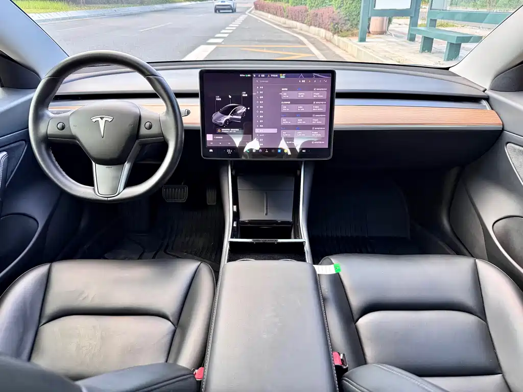 Tesla Model 3 — миниатюра 7