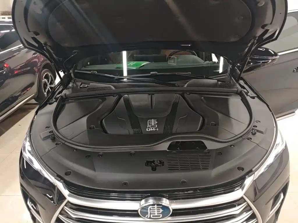 BYD Tang New Energy — миниатюра 20