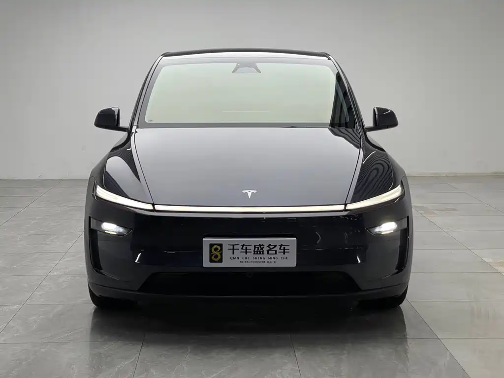 Tesla Model Y — миниатюра 2