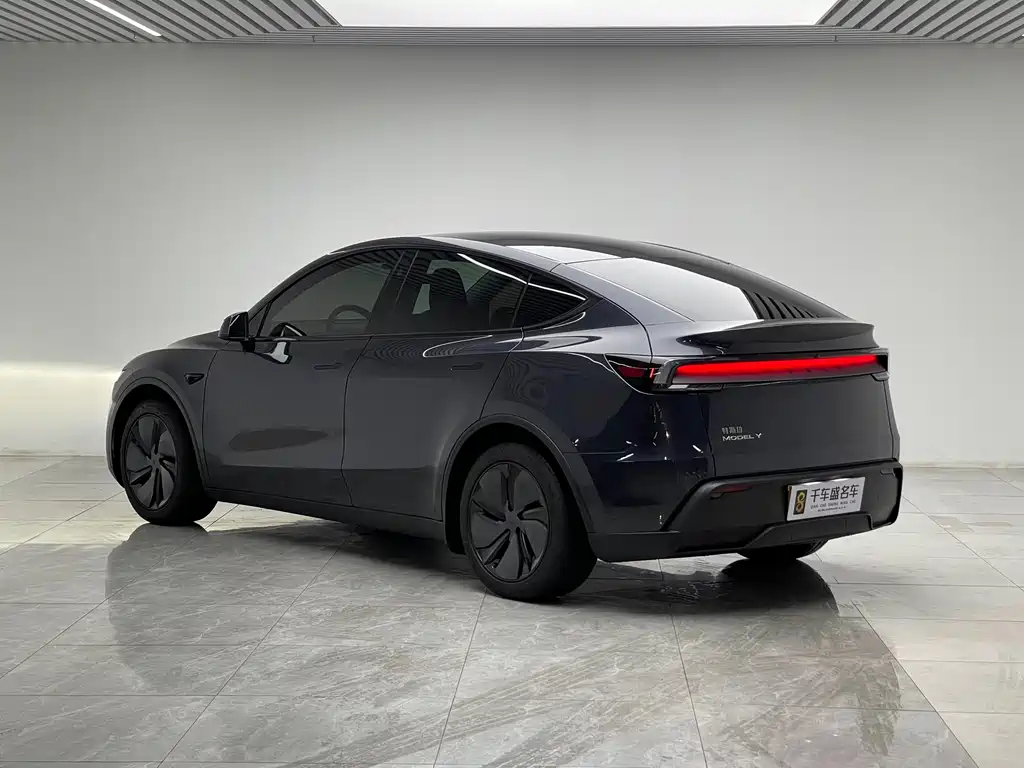 Tesla Model Y — миниатюра 4