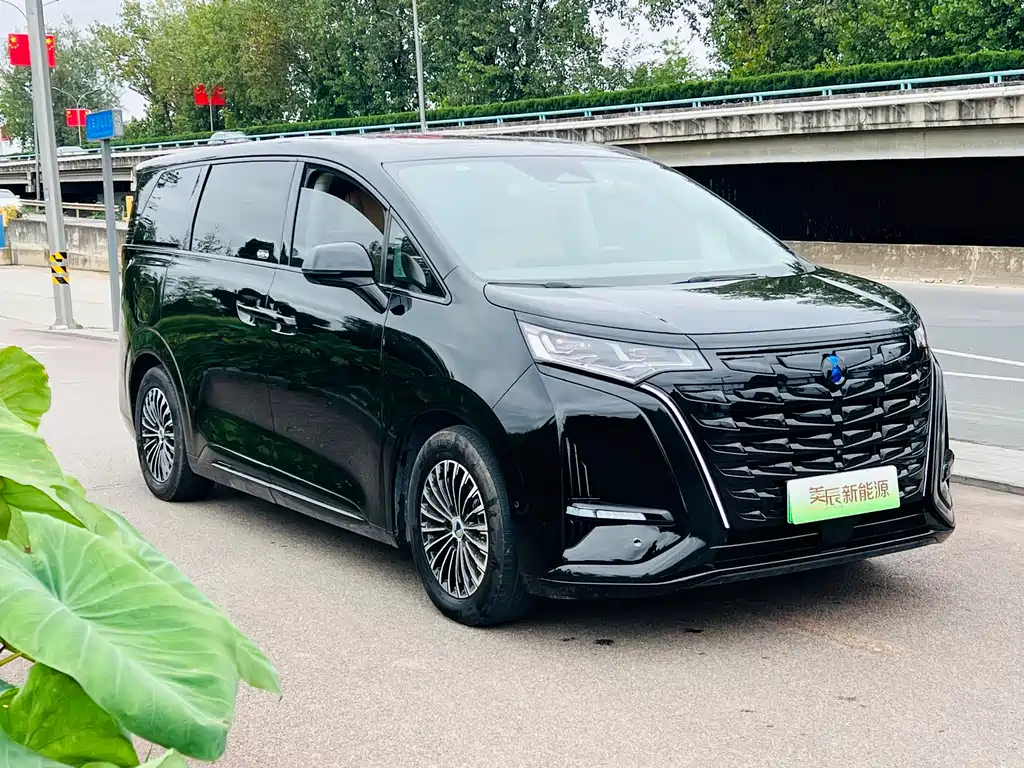Denza Denza D9 — миниатюра 3