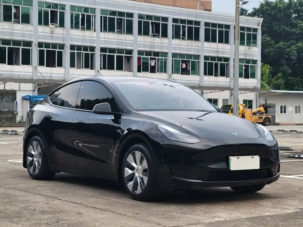 Tesla Model Y — миниатюра 3