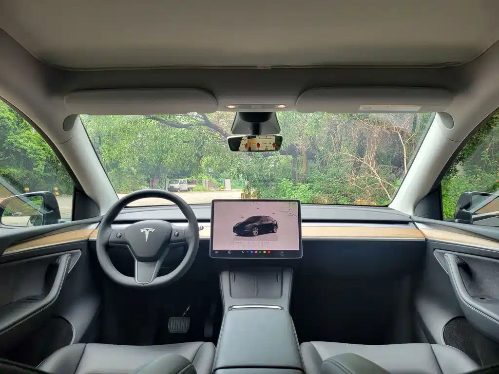 Tesla Model Y — миниатюра 20