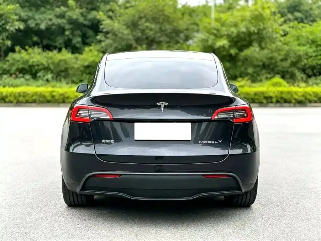 Tesla Model Y — миниатюра 8