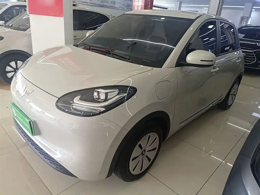 Wuling Bingo 2024