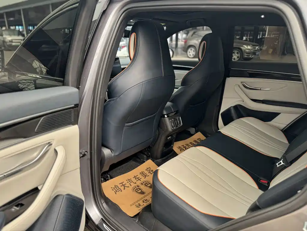 BYD PLUS New Energy — миниатюра 6
